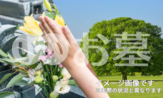 画像なし